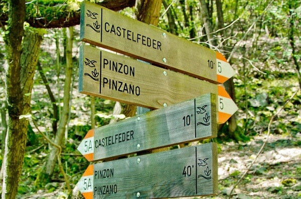 森の標識